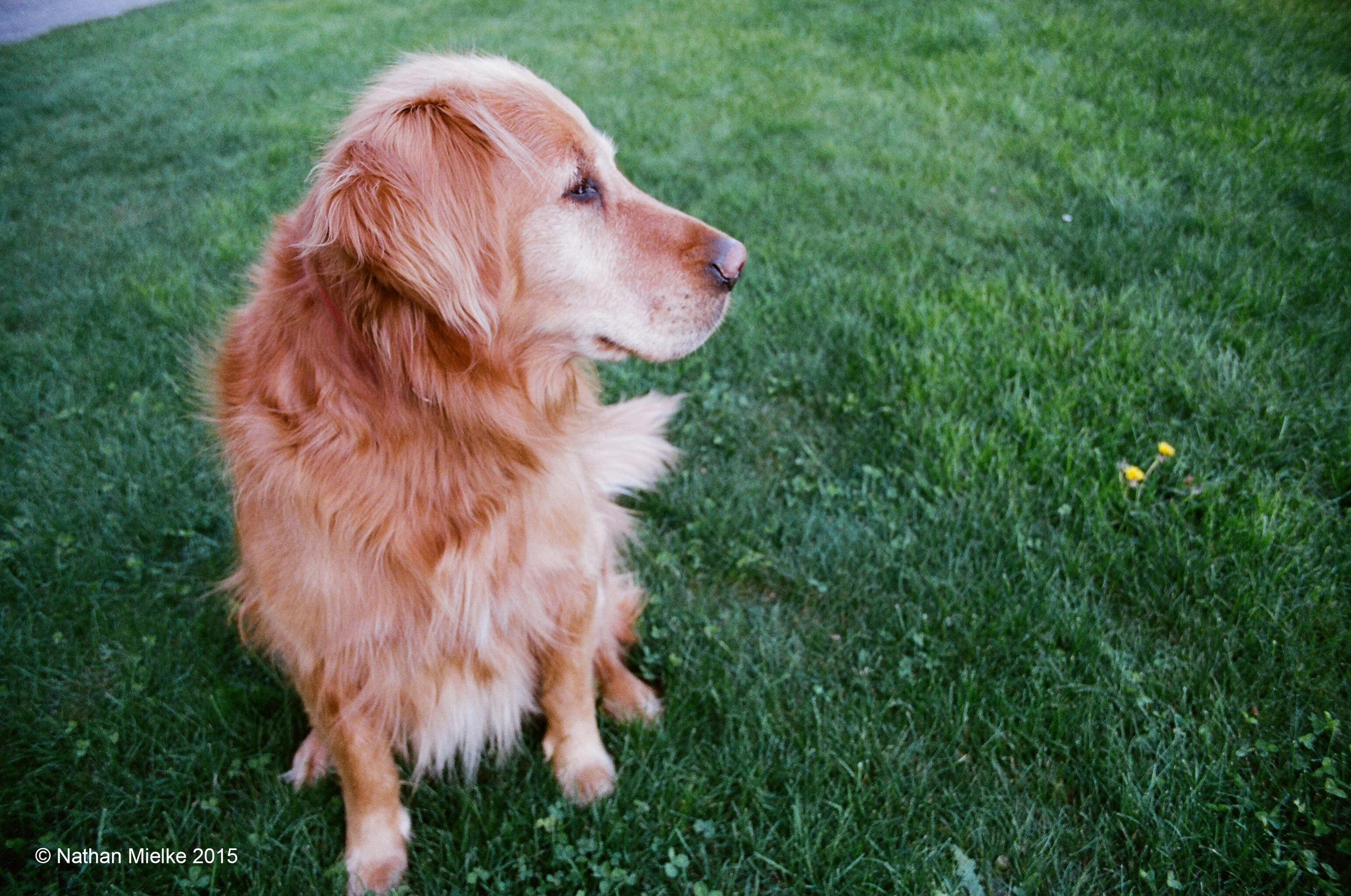 Tucker