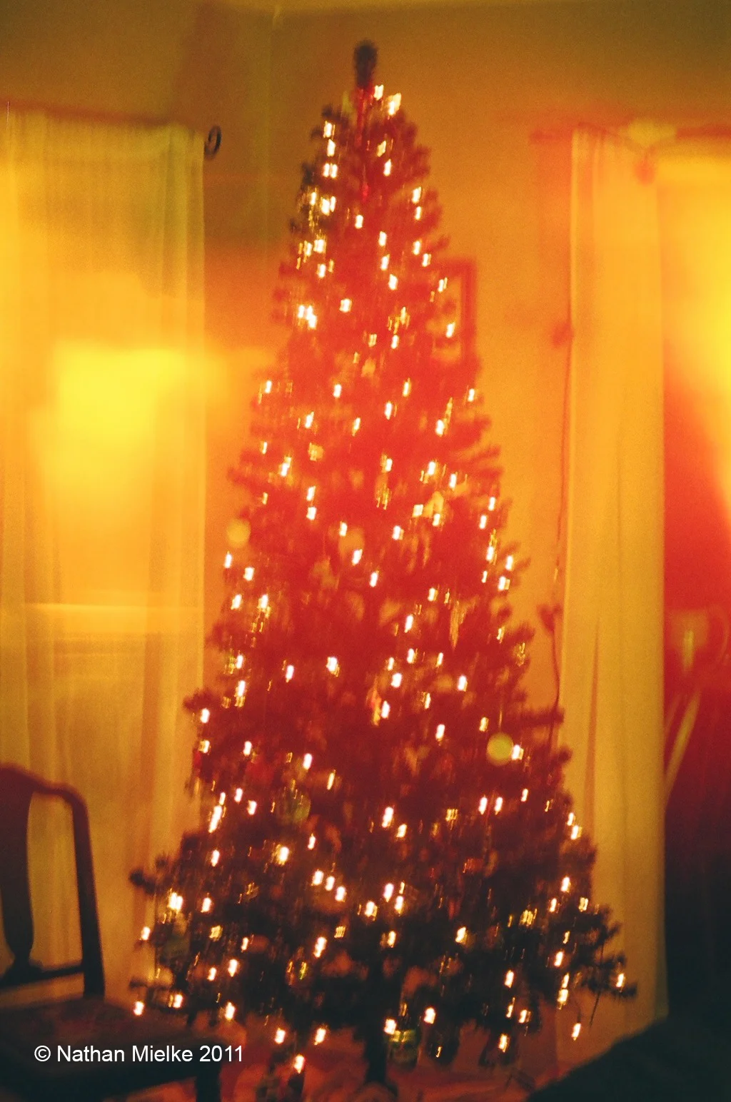 Oh Christmas Tree