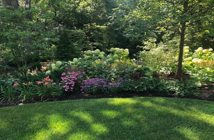 garden 04.jpg