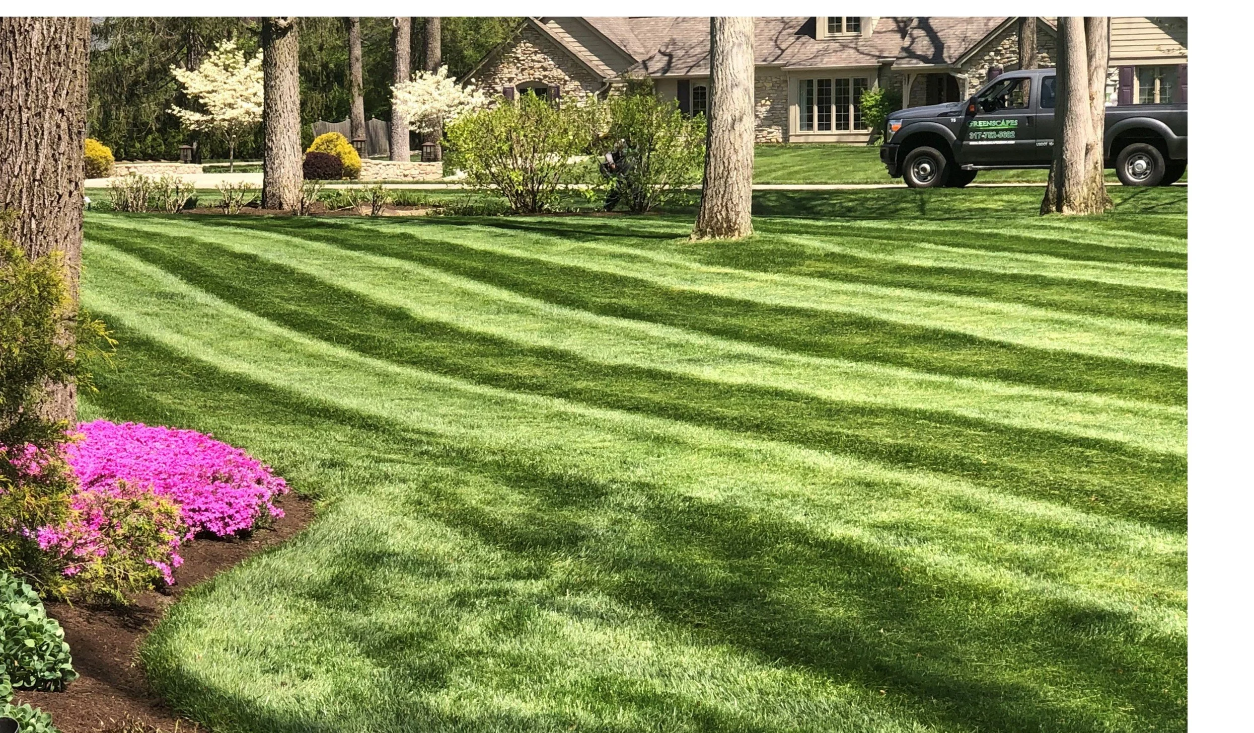 mowing 02.jpg