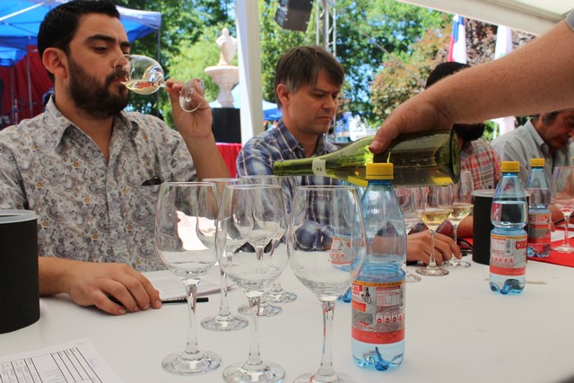 Premiados los mejores vinos