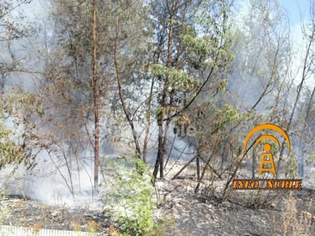 Resumen de Incendios...