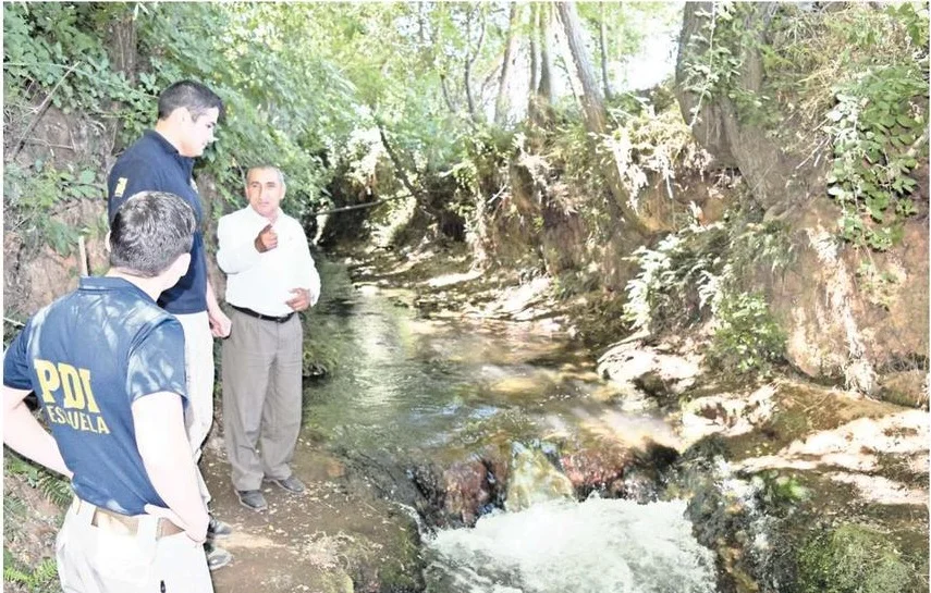 Se encuentran peces muertos en un canal de San Ignacio