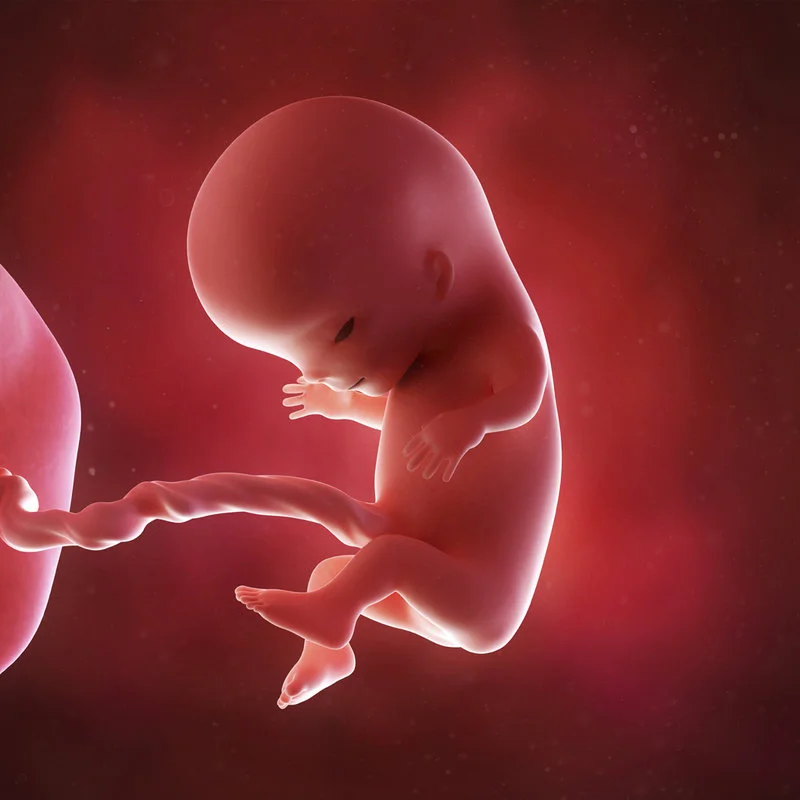 Hospital de Chillán aplicará nueva ley de aborto