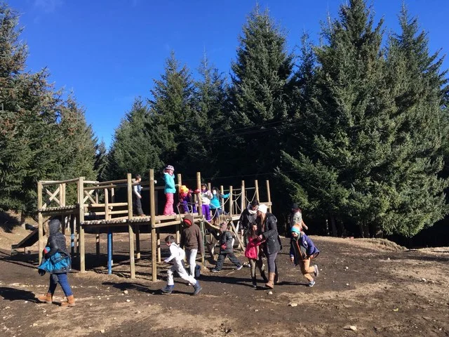 Escolares de Chillán disfrutaron de paseo a la cordillera