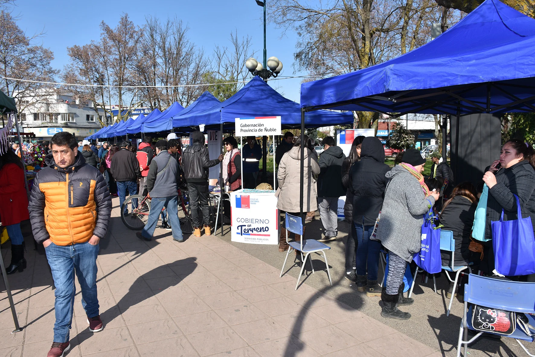 Gobierno en Terreno llevó diferentes servicios hasta San Carlos