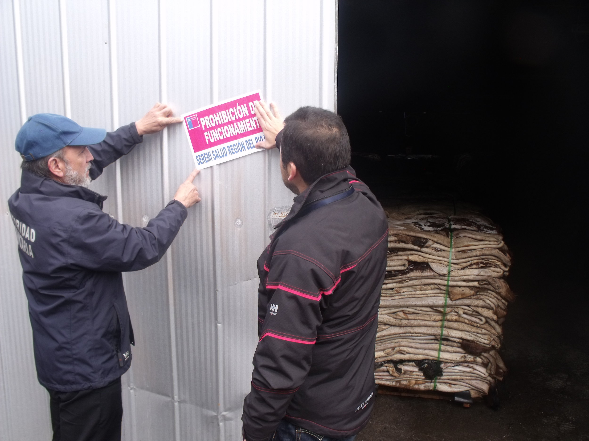 Seremi de Salud prohíbe funcionamiento a empresa de compra y venta de cueros