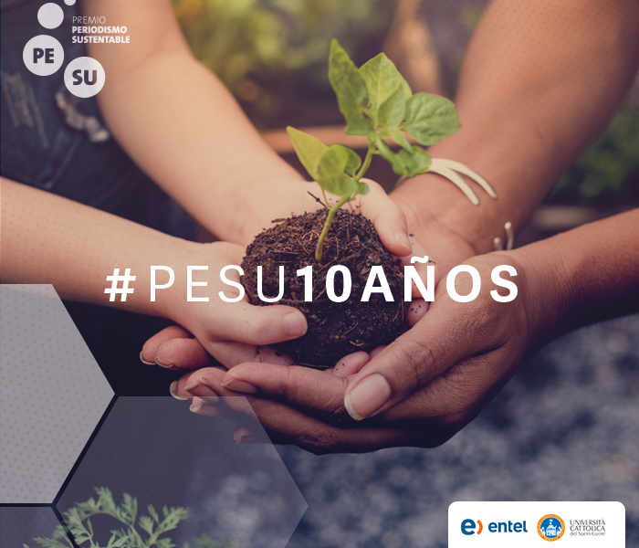 Se inicia periodo de postulaciones a la décima versión del concurso que premia los mejores trabajos periodísticos sobre sustentabilidad del país