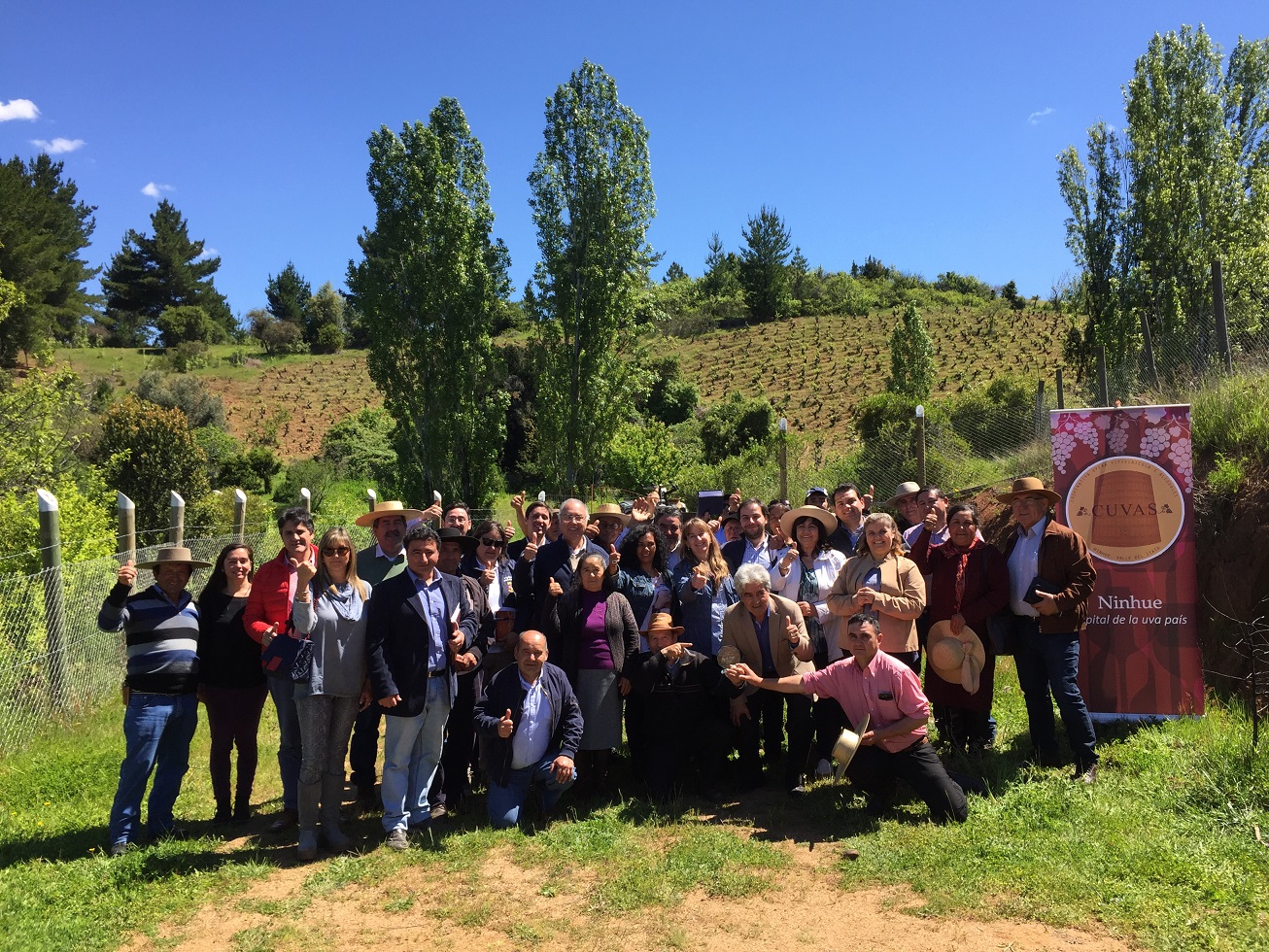 Las oportunidades del Valle del Itata están en el cooperativismo moderno