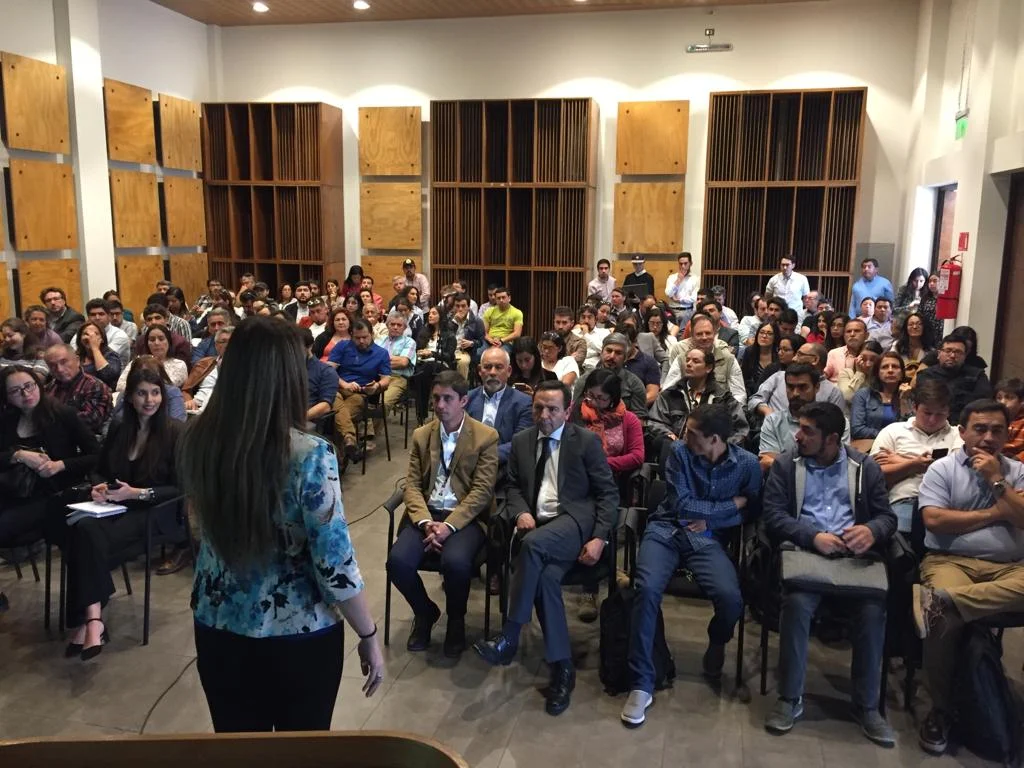 Corfo da a conocer oferta de instrumentos para la Región de Ñuble