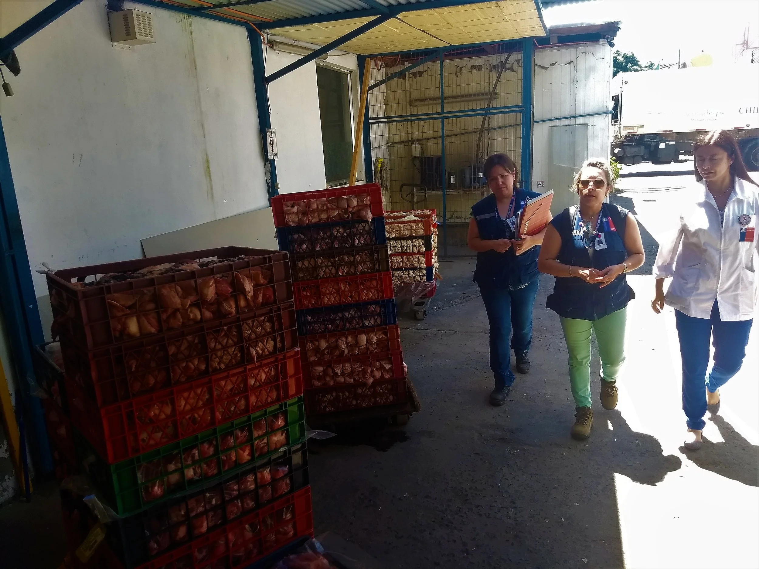 SEREMI de Salud decomisa 1.195 kilos de carne