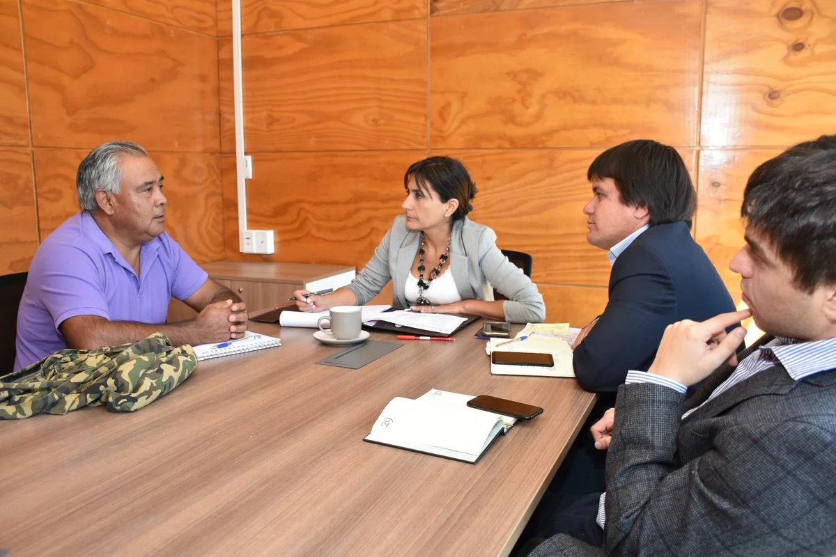  Audiencias Ciudadanas de Diguillín sumó 25 reuniones en Pinto
