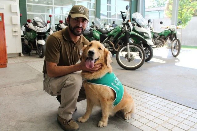 Carabineros presentó a “Derby” el primer can antidrogas para la región
