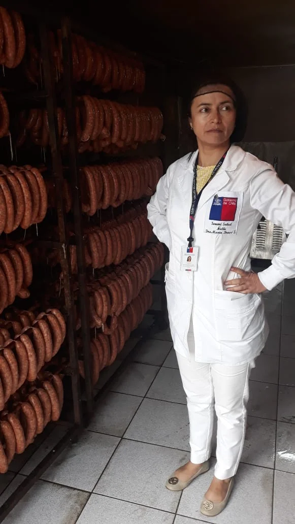 SEREMI de Salud pone fin a fábrica clandestina de cecinas