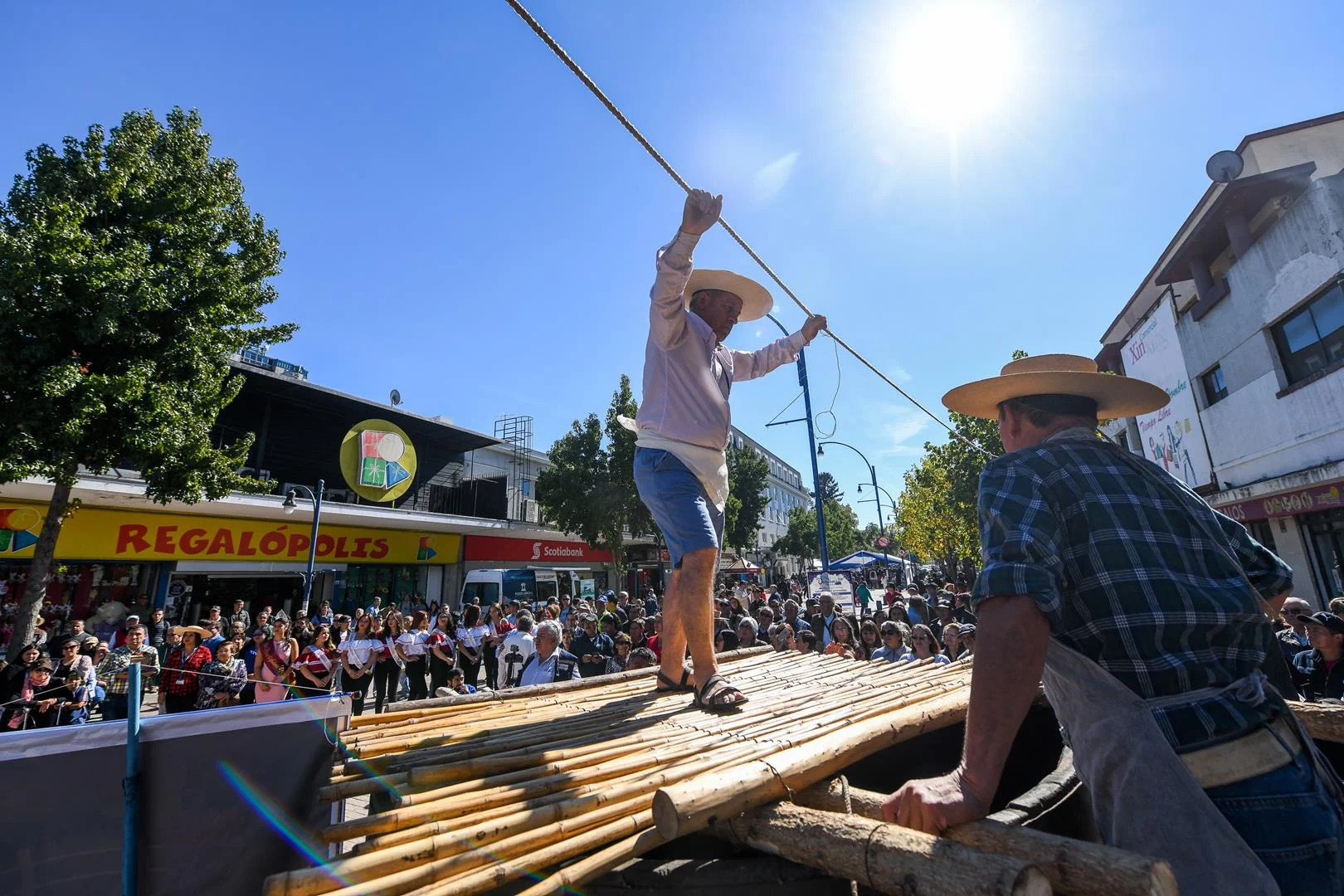 Fiesta de la Vendimia chillaneja quiere consolidarse como una de las más importantes del país