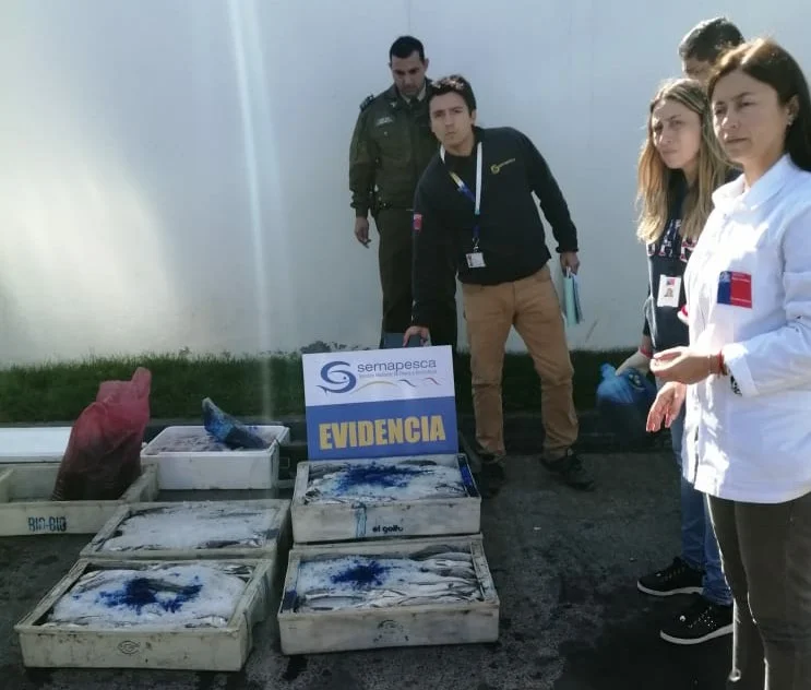       Decomisan 353 kilos de pescados y mariscos