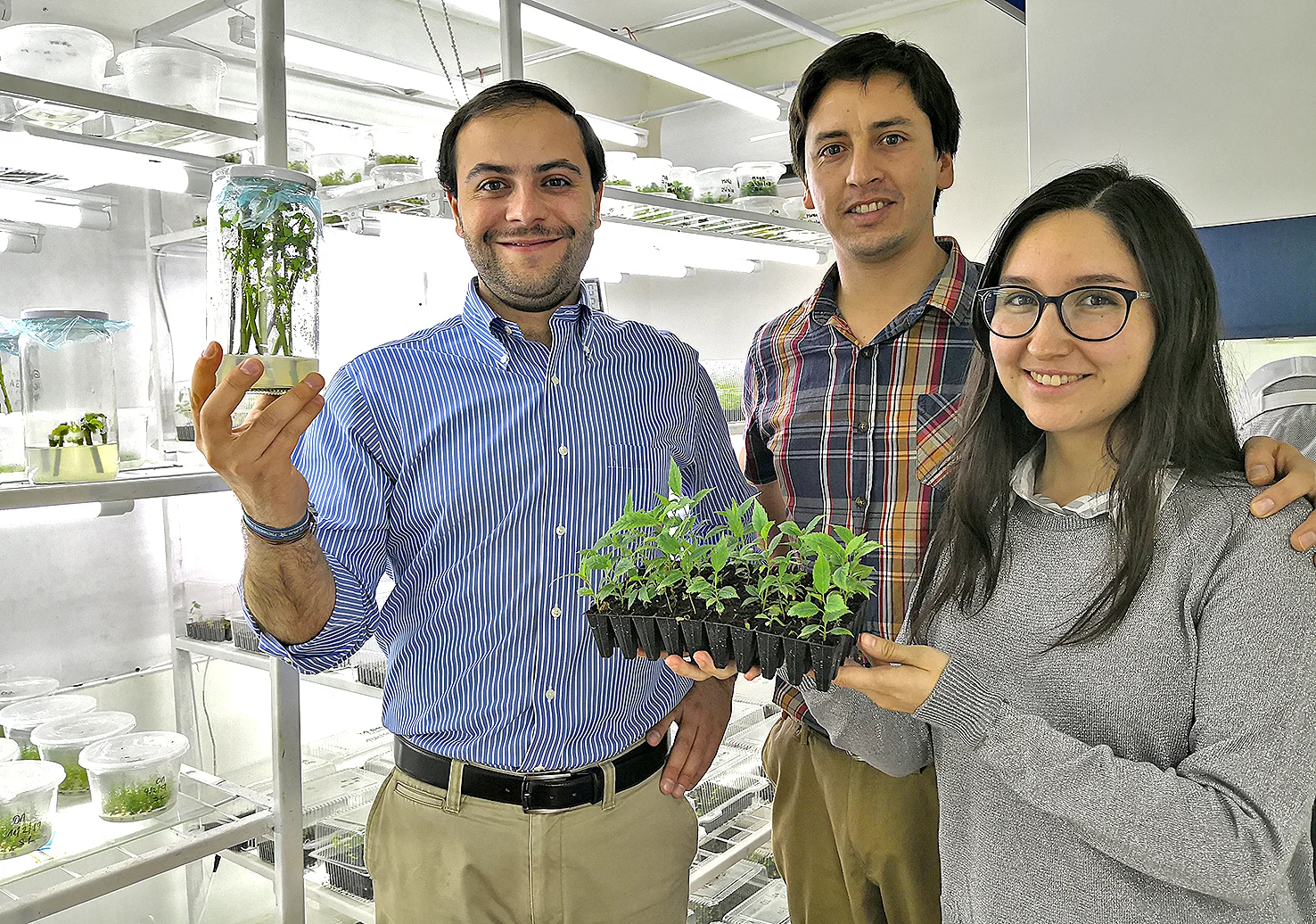 Director de Sercotec invita a postular a emprendedores y microempresarios