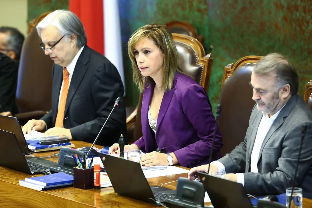 Diputada Carvajal se refiere al proyecto de modernización laboral del gobierno