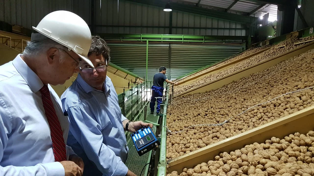 DIVERSIFICACION EN LA AGRICULTURA CHILENA