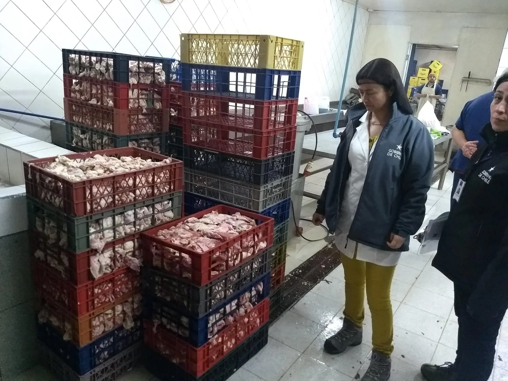 SEREMI de Salud decomisa 1.640 kilos de carne en fábrica de cecinas