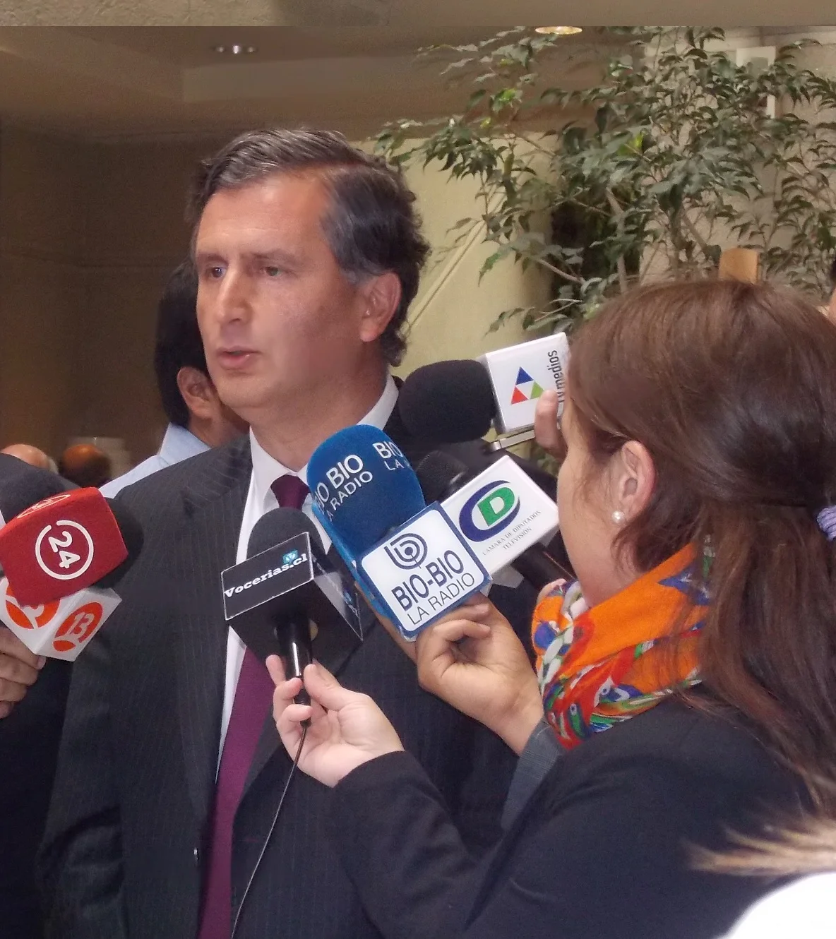 Diputado Sabag calificó de “Extremadamente Graves” ataques a equipos de comunicaciones de empresas telefónicas en Ñuble.