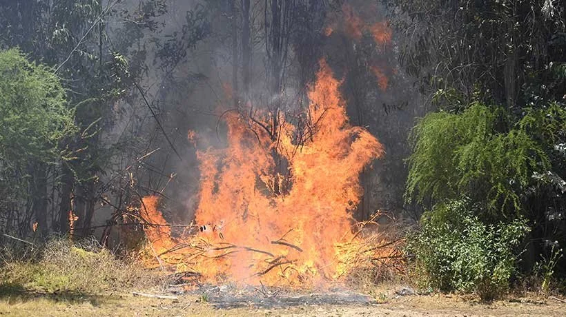 detienen a autor confeso de incendio en Hijuelas