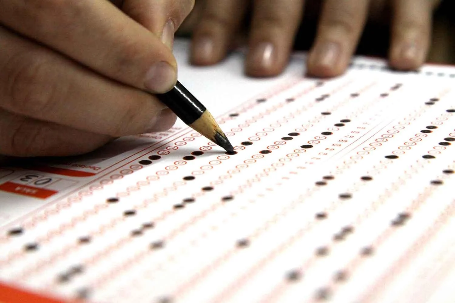 SEREMI de Educación Destaca la PAES como una Oportunidad Clave para el Acceso Equitativo a la Educación Superior