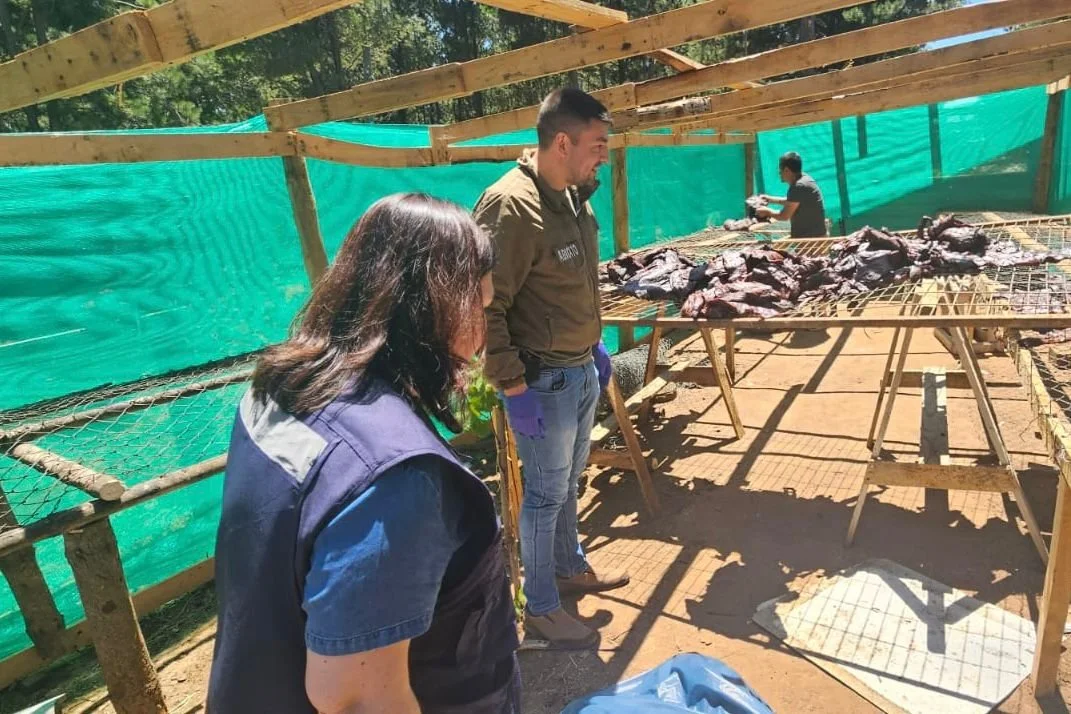  Autoridades refuerzan llamado a consumir productos de origen autorizado y alertan sobre riesgos de charqui procesado clandestinamente.