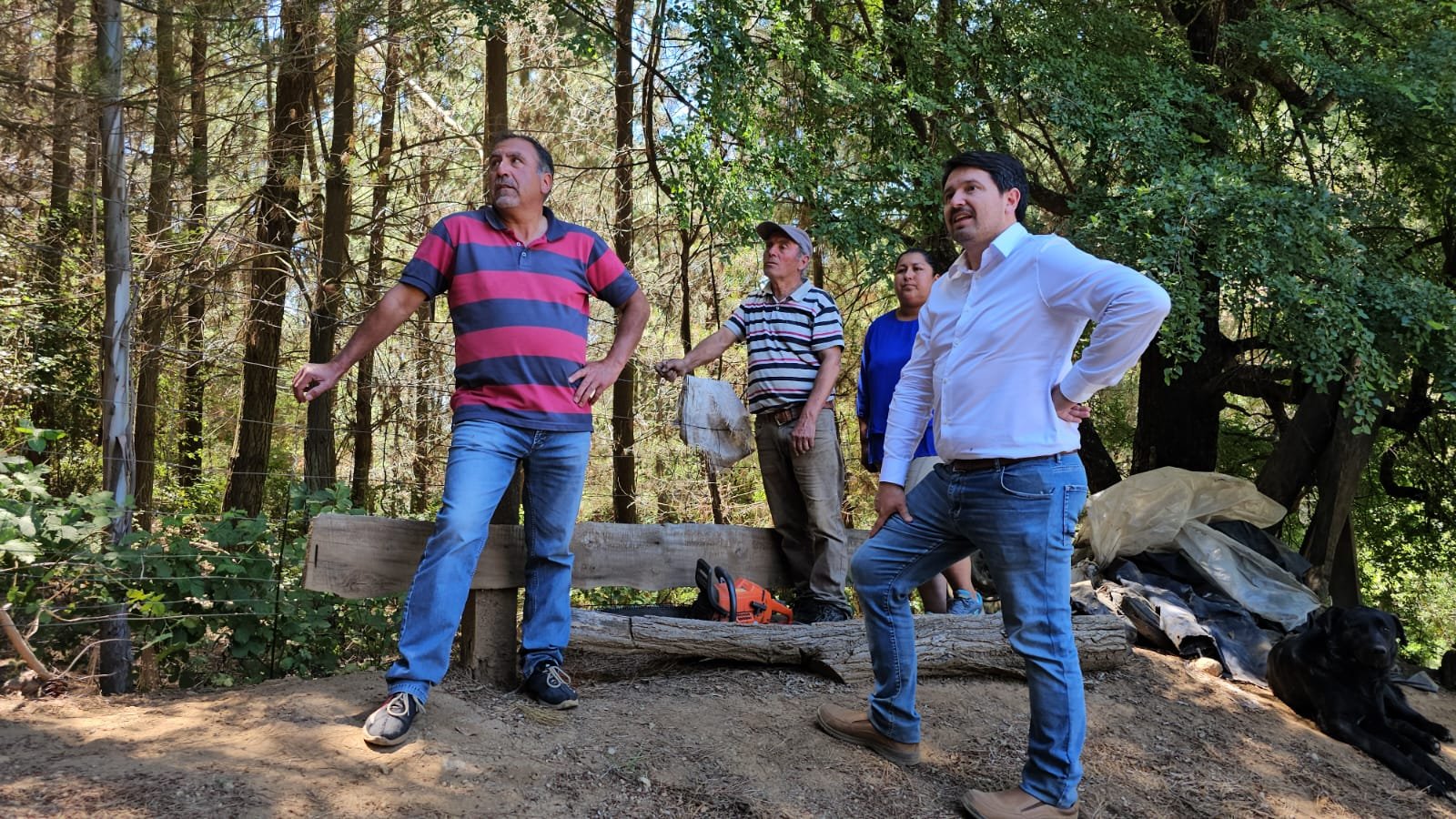 El Carmen: Realizan cortafuegos en sectores apartados de la comuna