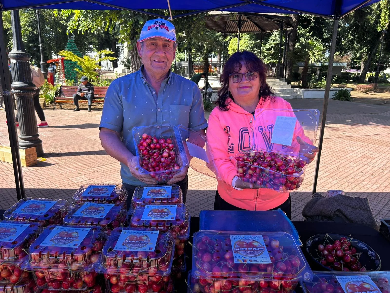 hacen llamado a comprar y consumir cerezas