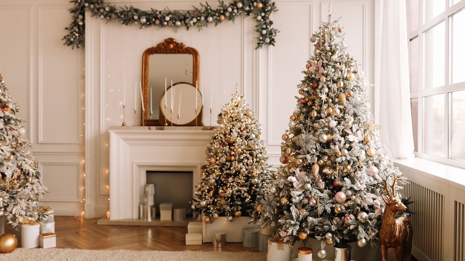 El árbol de navidad ¿DÓNDE ESTÁ EL ORIGEN?