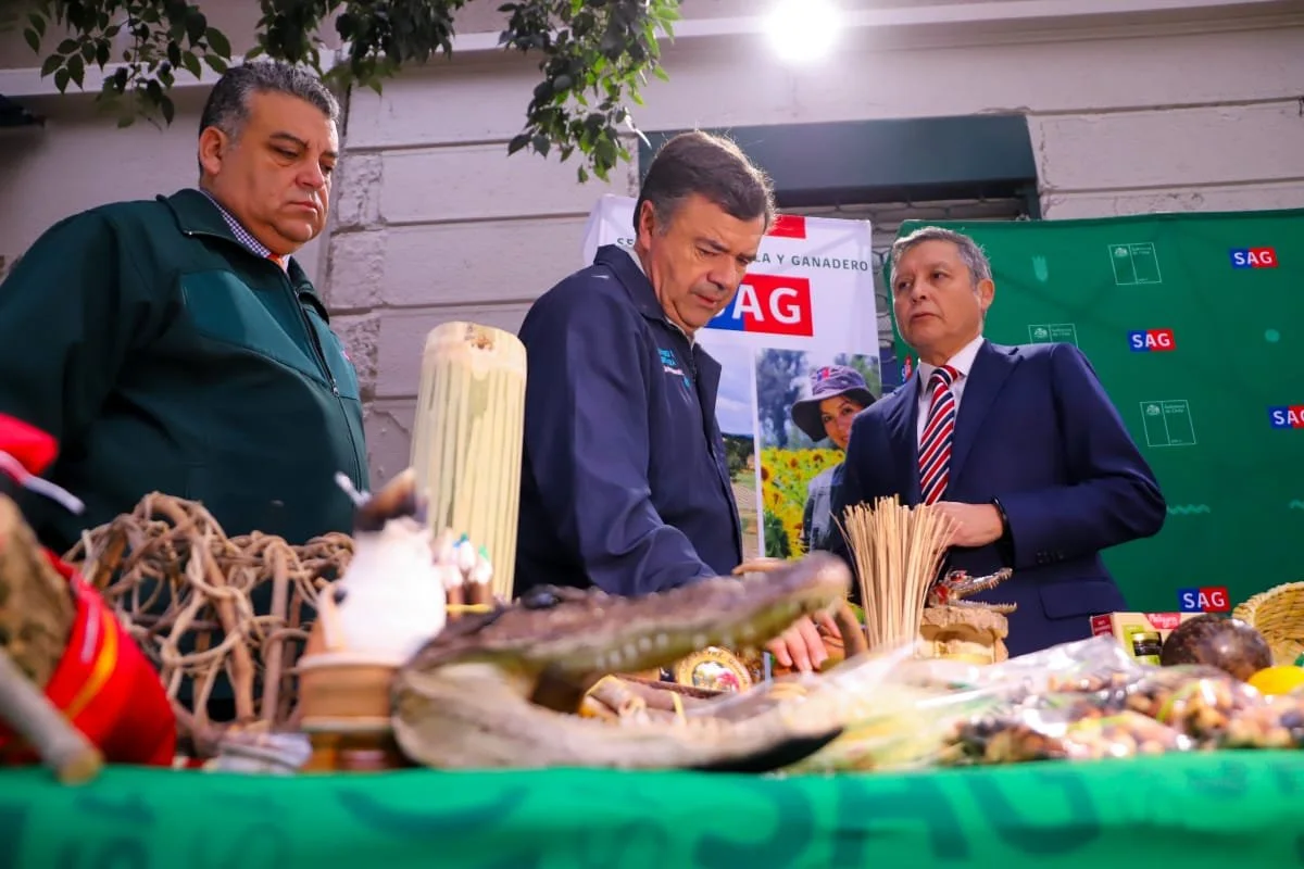 Ministerio de Agricultura y SAG advierten sobre sitios web falsos que cobran por trámite gratuito de la Declaración Jurada de ingreso a Chile