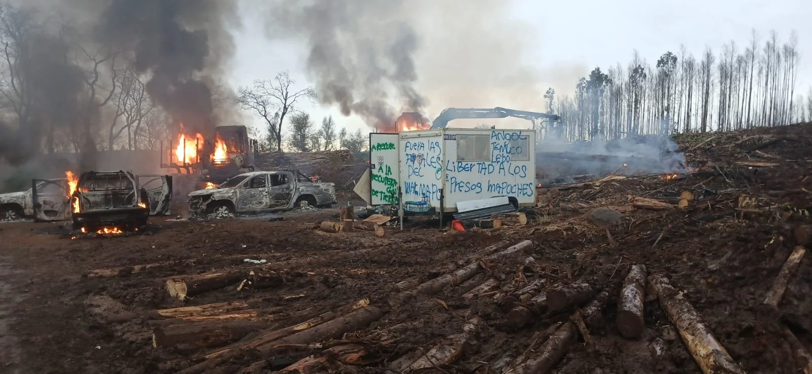 Violento ataque a predio forestal dejó tensión en la zona y millonarias pérdidas