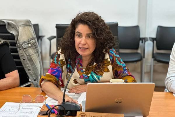  Core Lorena Jardúa: "La Cuenta Pública del gobernador no se condice con las necesidades y dolores de la región"