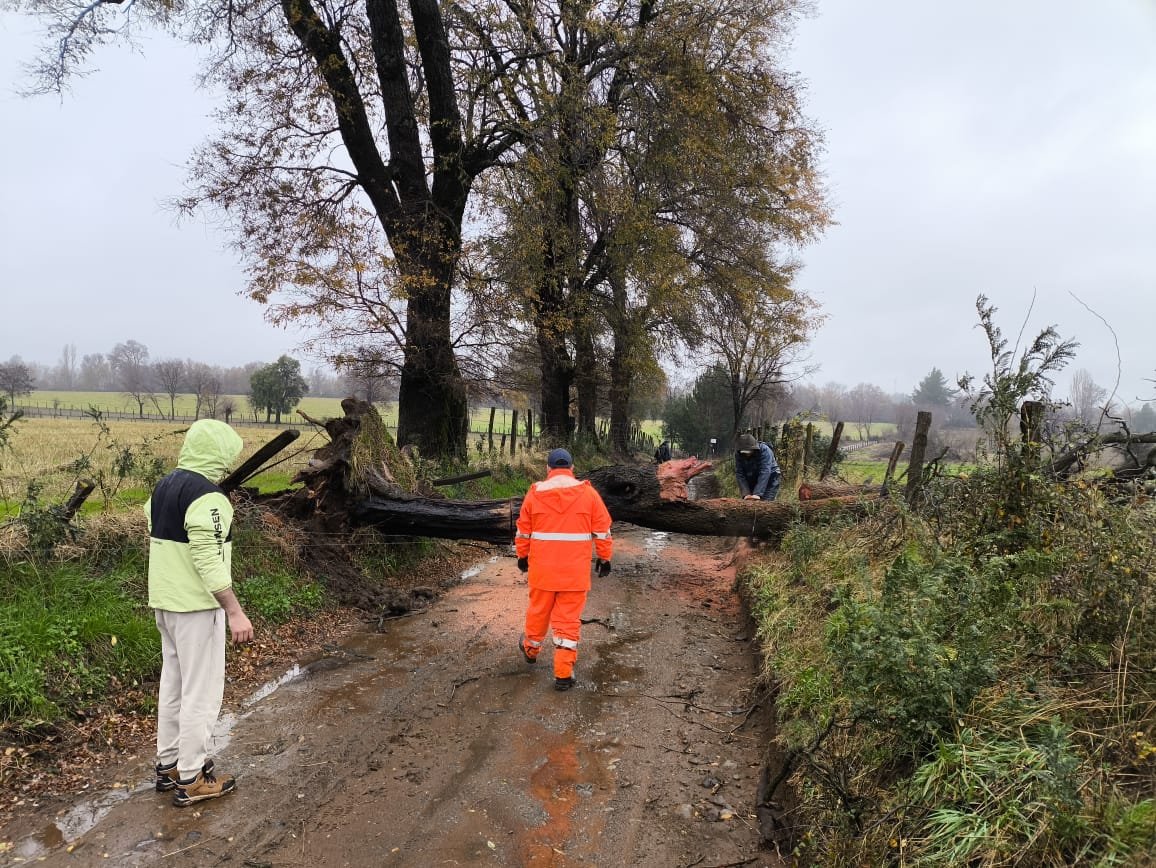 Tres días sin electricidad: El Carmen suma 1.880 familias afectadas