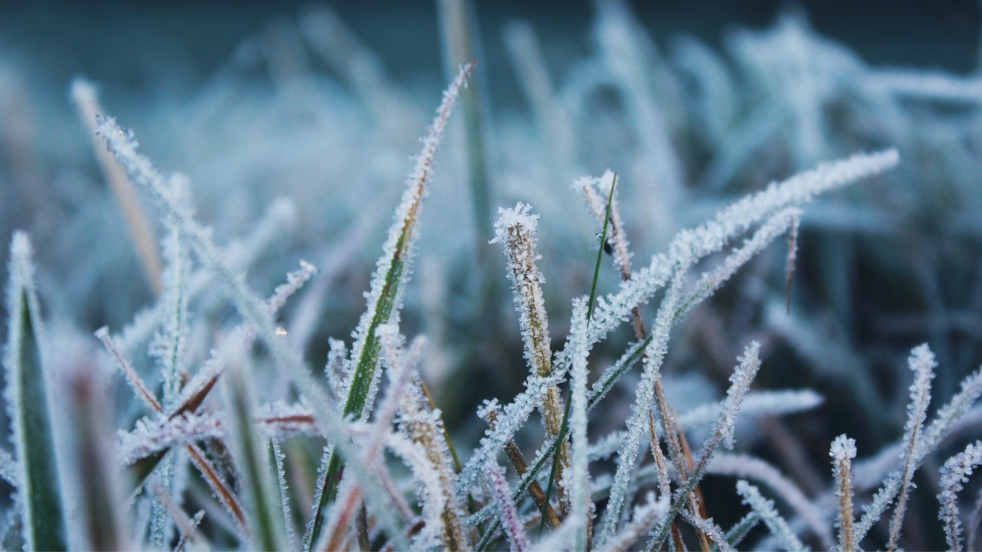 La jornada más helada en Chillán desde el año 2007