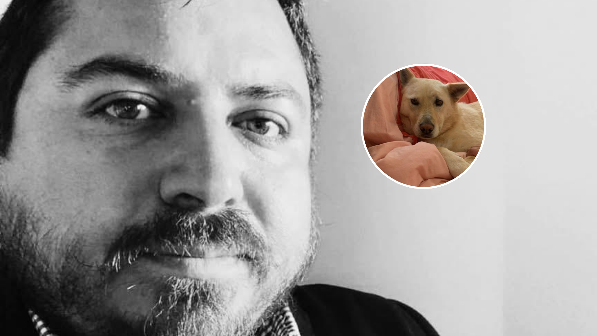 Conmoción en Concepción por el repentino fallecimiento de profesor universitario: Paseaba a su mascota y ahora la perrita está desaparecida