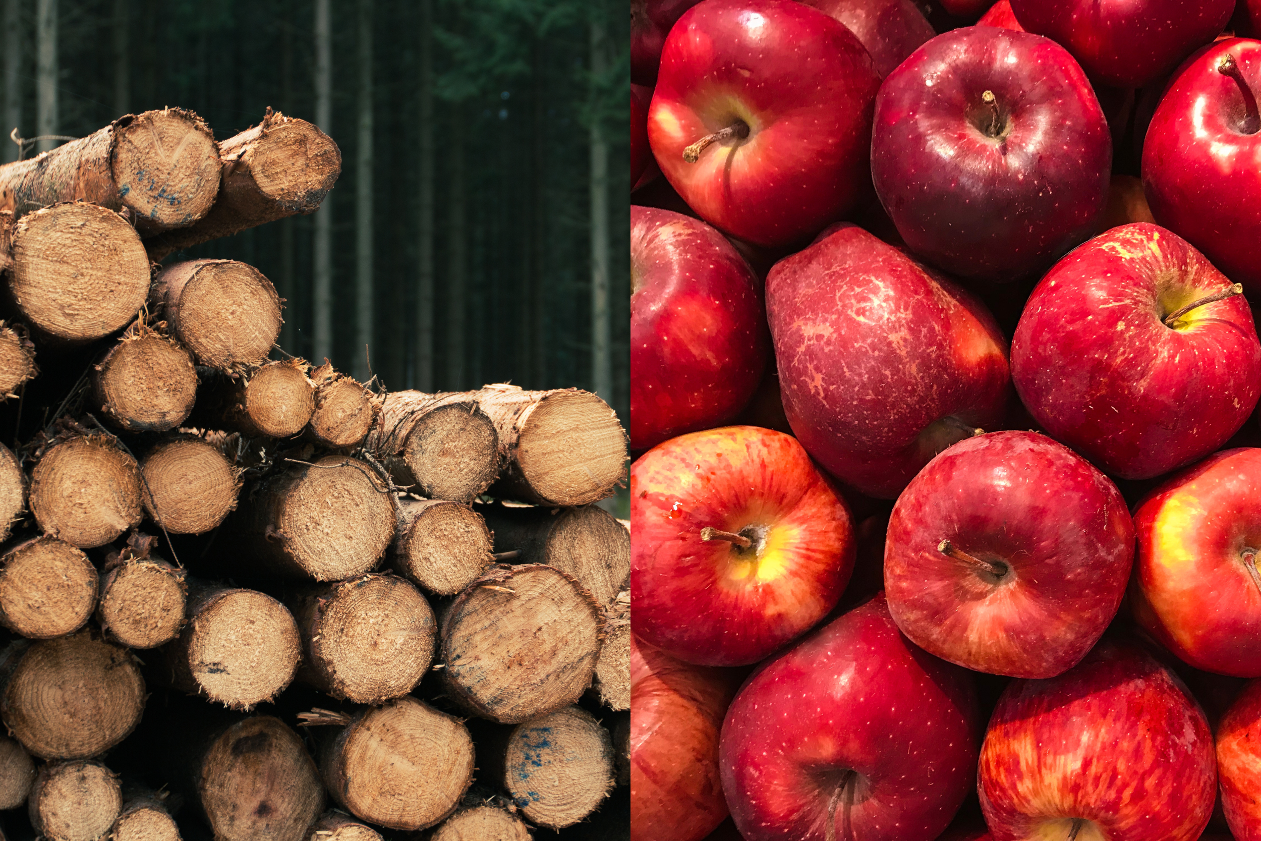 Exportaciones de la Región de Ñuble caen 18,5% en junio de 2025