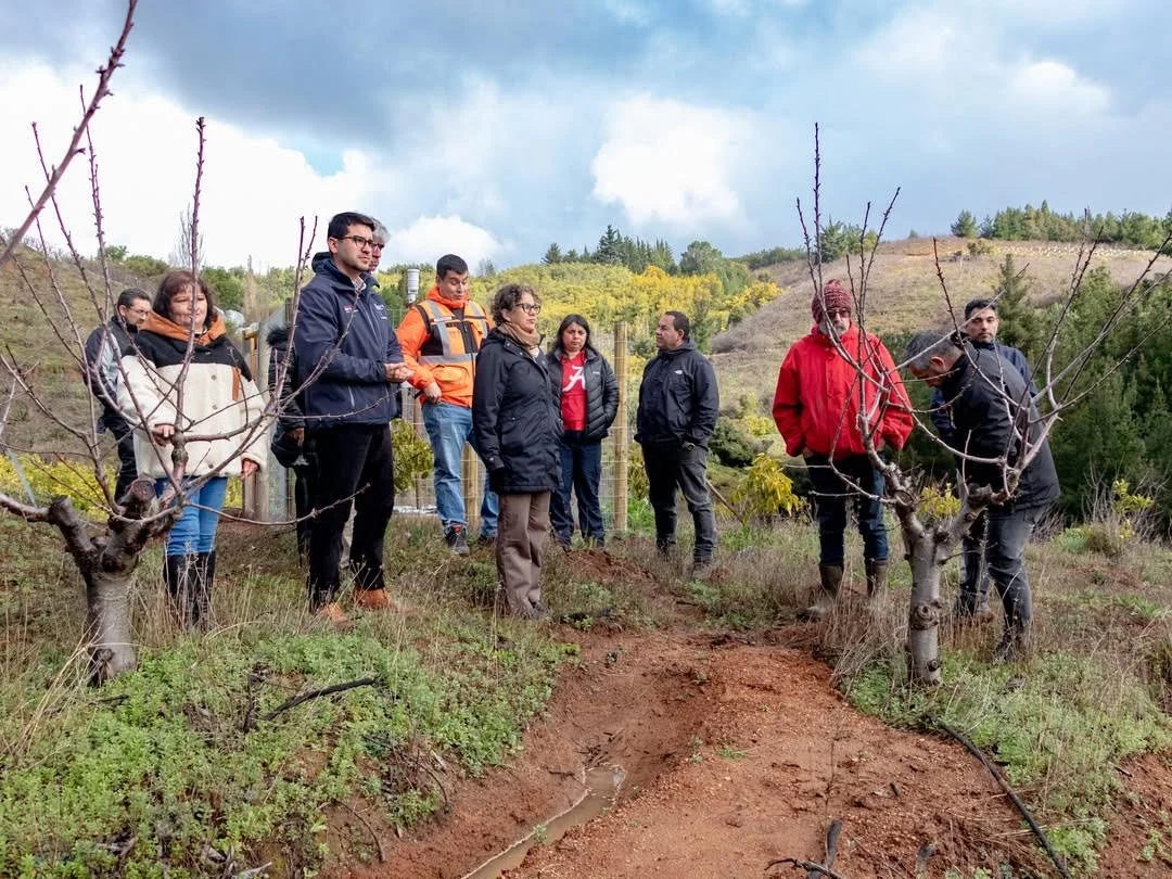 Ministra del Medio Ambiente realiza visita a terreno para conocer obras de conservación de suelo y agua en Quillón