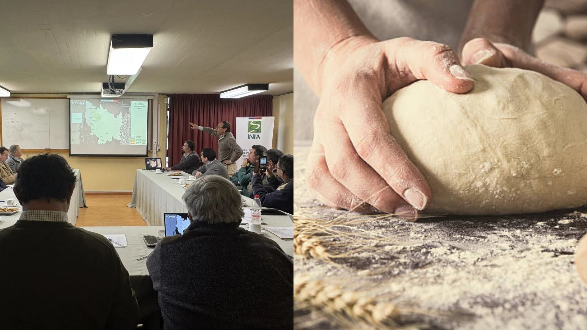 Panaderos se unen a la Mesa del Trigo de Ñuble para fortalecer la cadena productiva