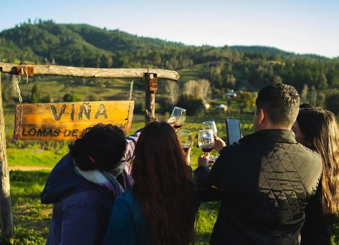 Portezuelo celebra 10 años del Día Nacional del Vino y anuncia la Fiesta del Vino 2025