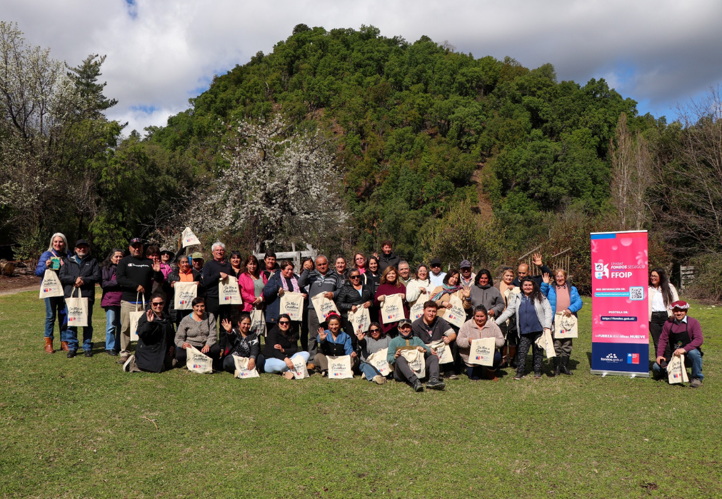 Organizaciones de Ñuble inician proyectos para fortalecer la participación comunitaria