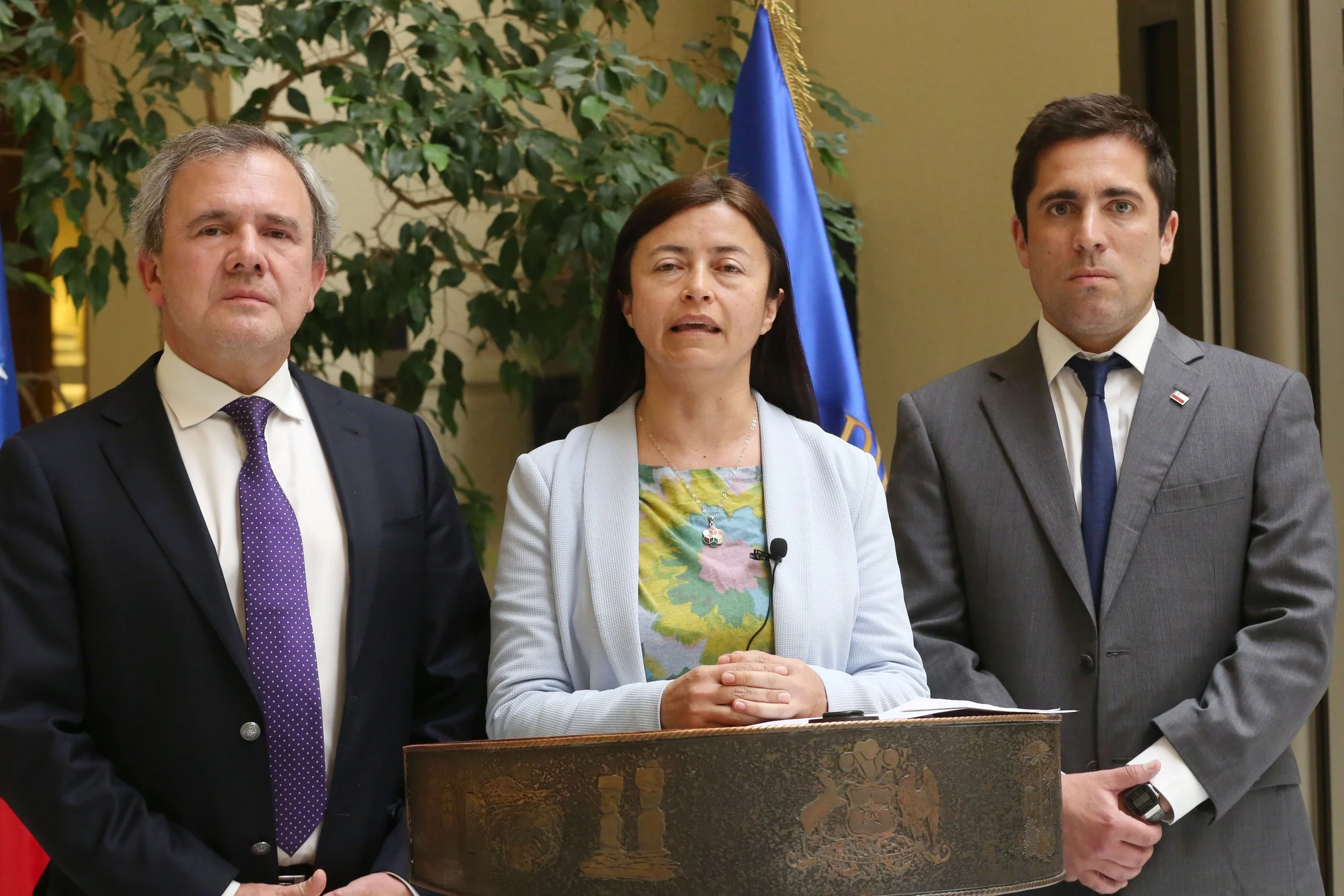 Millonaria inversión eléctrica: Inician obras de ampliación de líneas de transmisión por más de US$65 millones en Ñuble