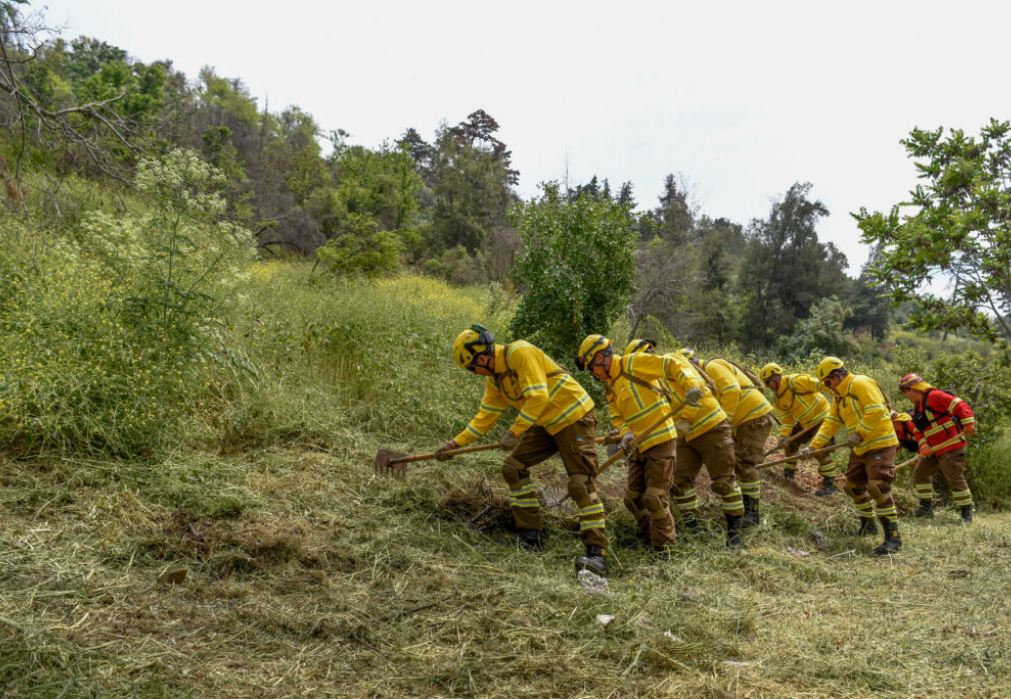 Chillán se prepara para el verano: Municipio impulsa plan de 21 km de cortafuegos contra incendios