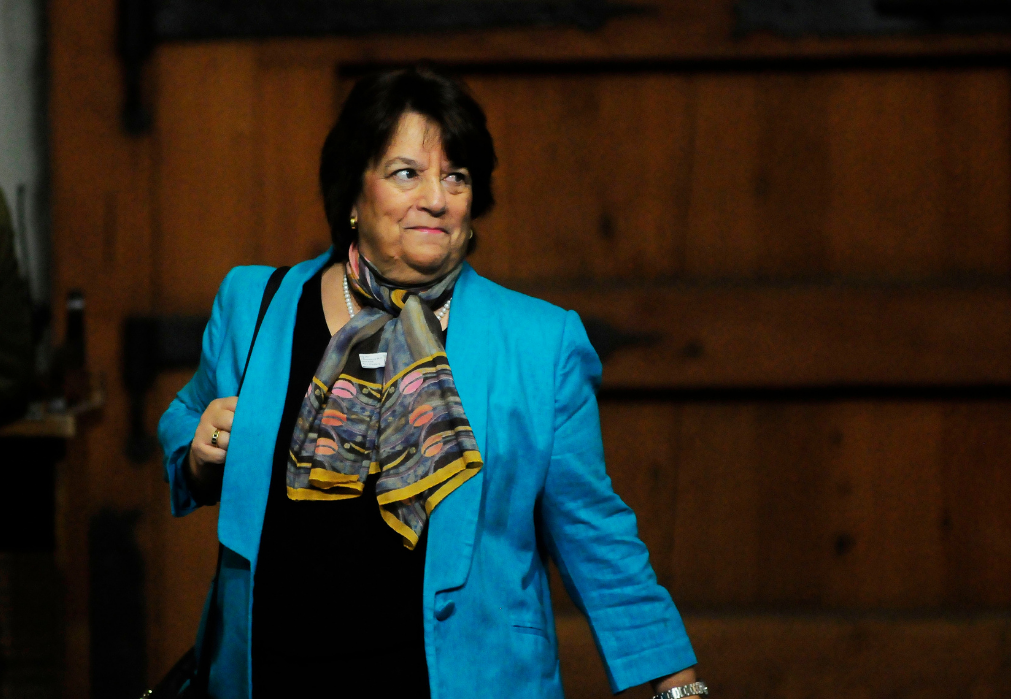 Ministra de Defensa será citada al Congreso por veto a compra de armas a Israel