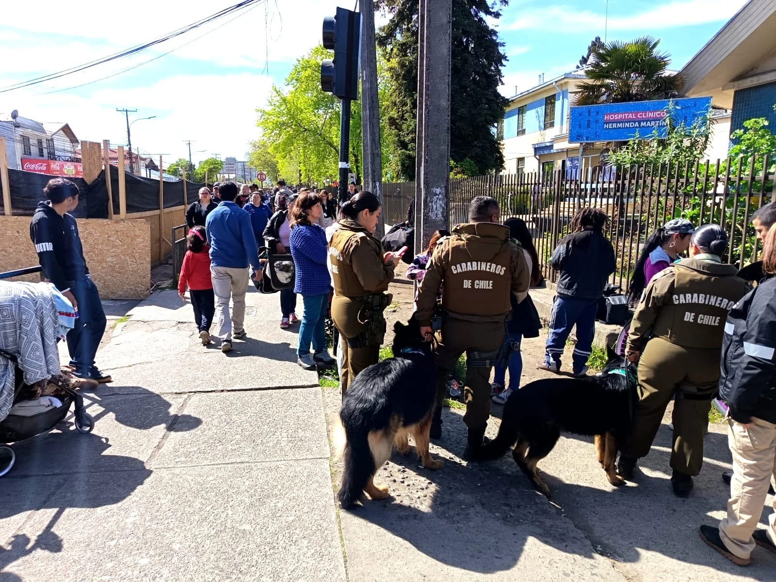 Carabineros detiene a 3 personas en Chillán en operativo focalizado contra el comercio ilegal