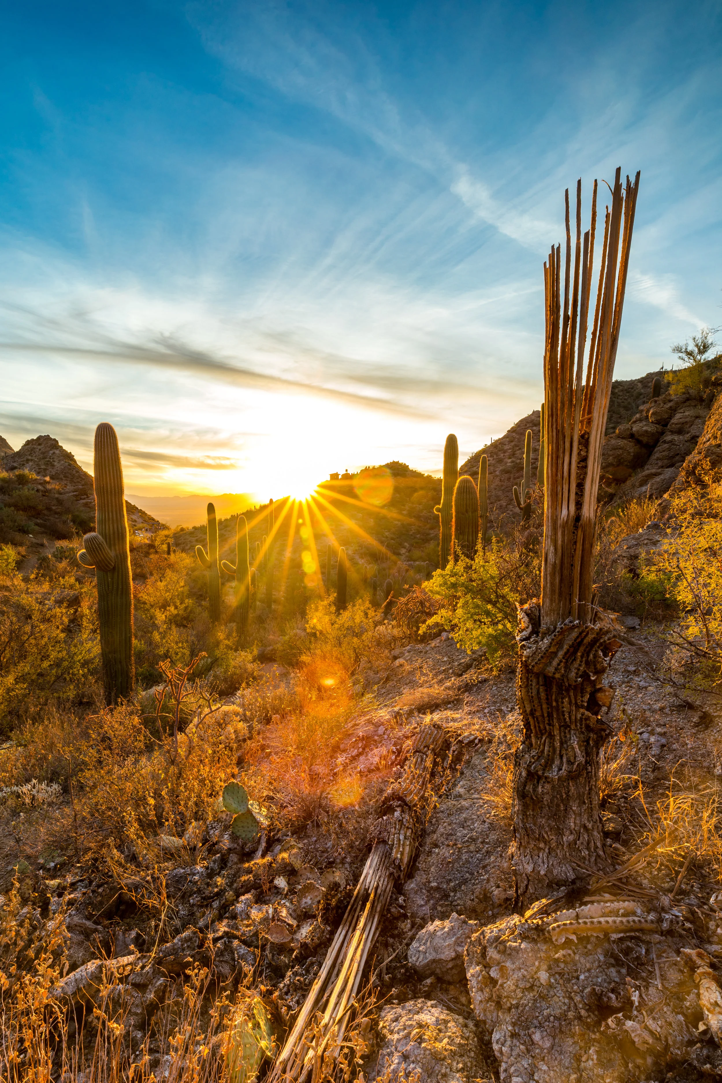 Arizona Highways Entry 1.jpg