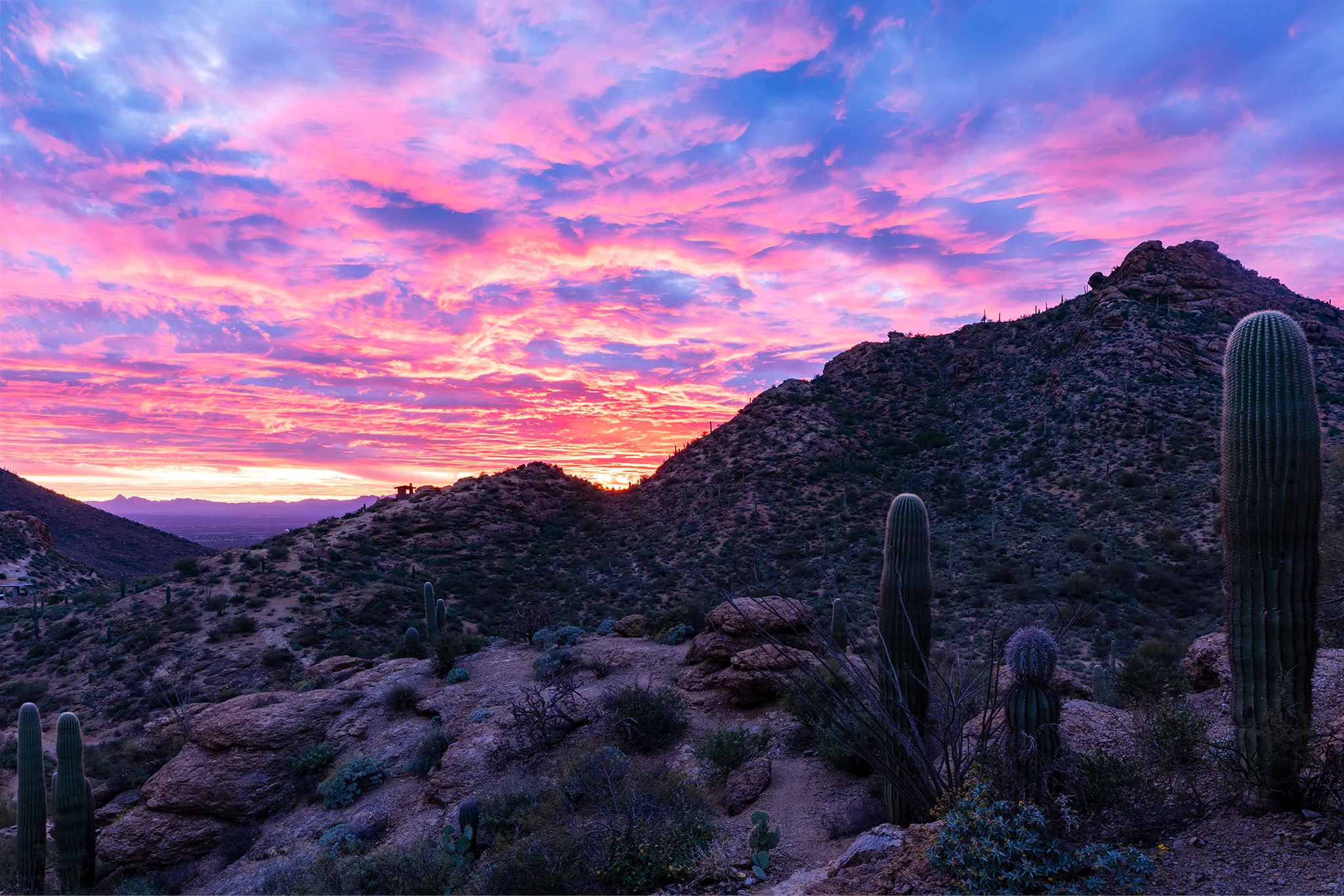 2T4A1756-HDR-FB.jpg