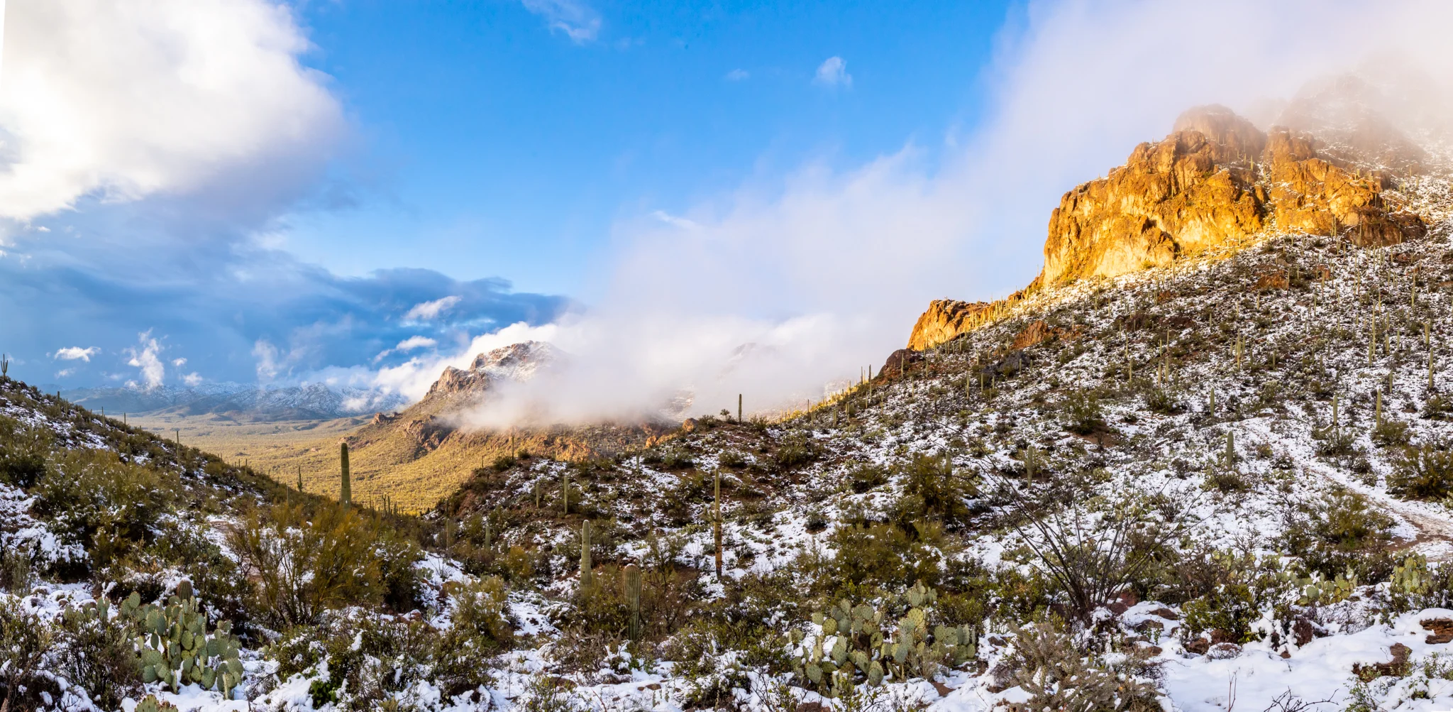 AZ_Snow_Day_FB-2.jpg