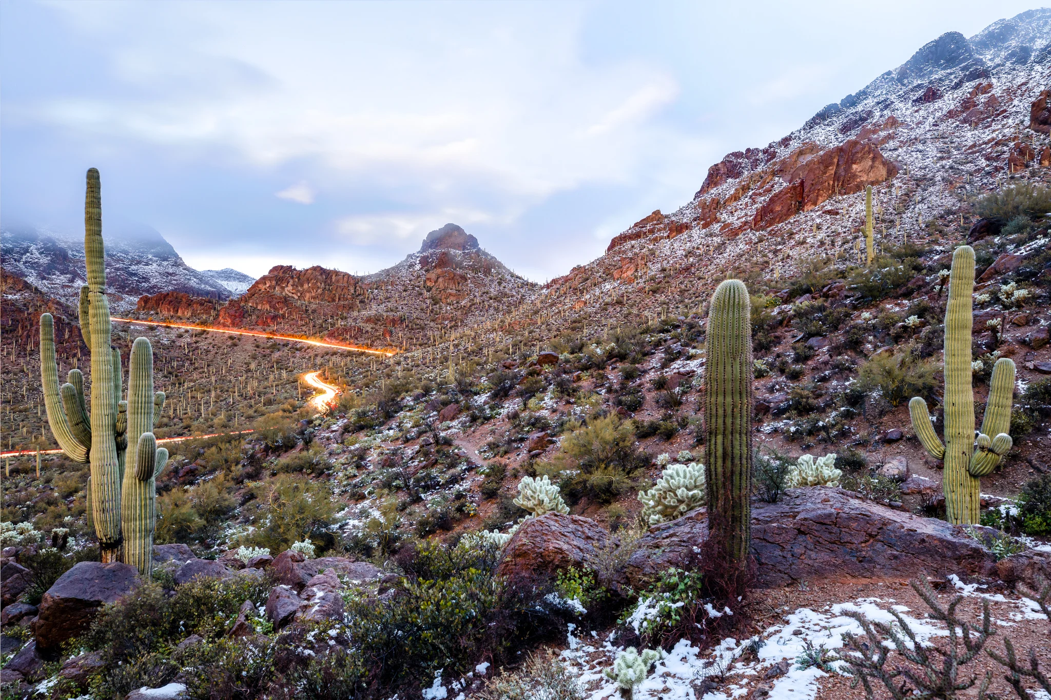 AZ_Snow_Day_FB-3.jpg